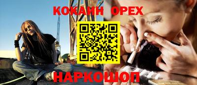шишки Дубна