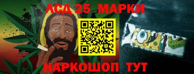 шишки Дубна