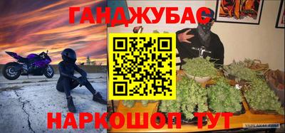 шишки Дубна