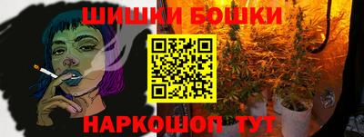 шишки Дубна