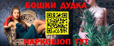 шишки Дубна
